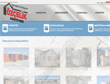 Tablet Screenshot of ozcelikkonteyner.com